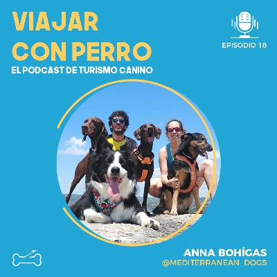 Ep 18. Viajar a Suiza en camper con 4 perros. Entrevista a Anna Bohígas @mediterranean_dogs