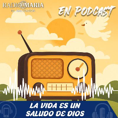 Siete gestos de misericordia que puedes hacer todos los días – Lunes 11 de agosto 2025