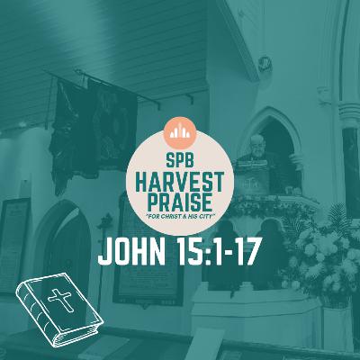 Harvest Thanksgiving | John 15:1–17 | Bishop Darren McCartney