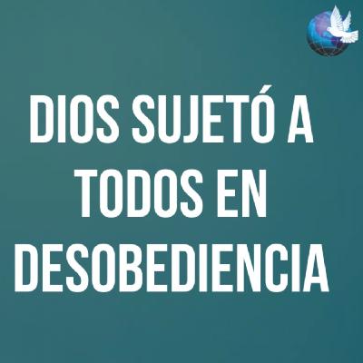 Dios sujetó a todos en desobediencia Dios sujetó a todos en desobediencia