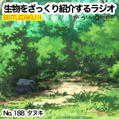 第88話：✉️「タヌキ」をざっくり紹介