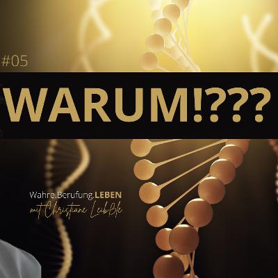 #005 Warum!?