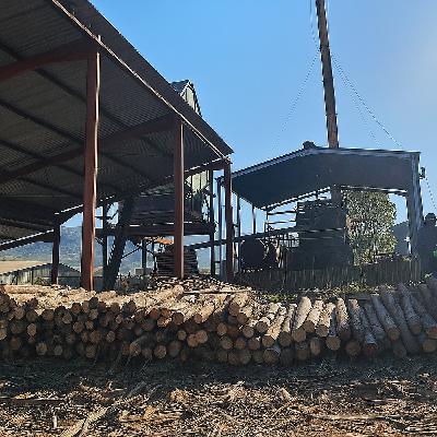 Akili Timber: A Local Business with Deep Roots in Richmond
