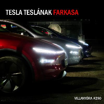 Villanyóra #290 - Tesla Teslának farkasa