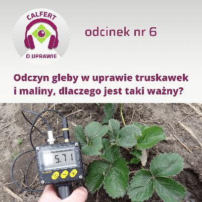 6. Odczyn gleby w uprawie truskawek i malin, dlaczego jest taki ważny?
