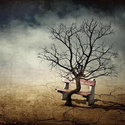 تحجُّ إليكَ أشلائي - شعر عصام مطير البلوي تحجُّ إليكَ أشلائي - شعر عصام مطير البلوي