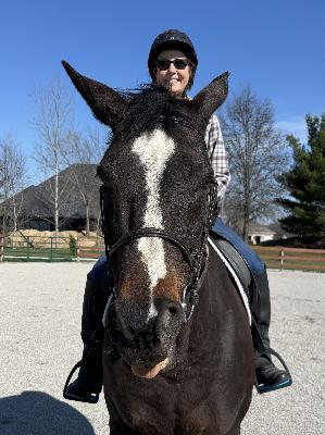 Inside the Horse Brain: How Equine Minds Think, Feel, and React