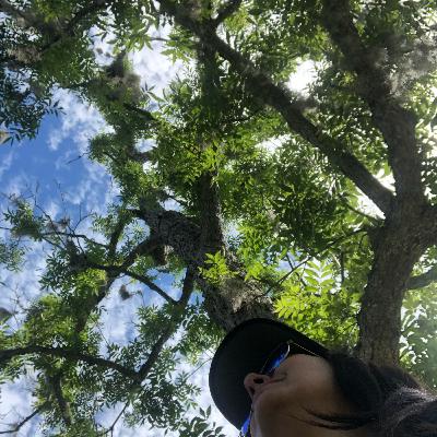 El Llamado de la Madre Tierra