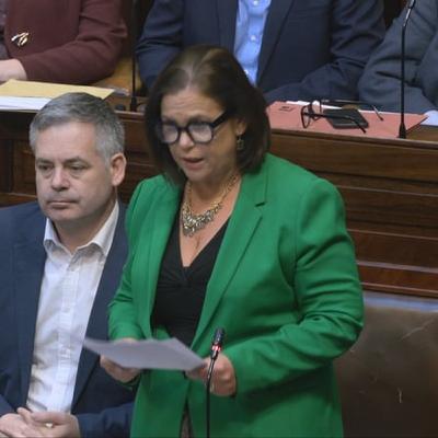 Mary Lou McDonald calls on the government to re-instate energy credits