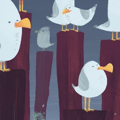 Éradiqueur de mouettes - Penmarc'h (Finistère)