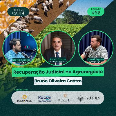 HedgeCast 22 - Recuperação Judicial no Agronegócio HedgeCast 22 - Recuperação Judicial no Agronegócio