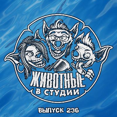Выпуск 236. Миссия Лило и Стича: Дожить до Пункта Назначения Выпуск 236. Миссия Лило и Стича: Дожить до Пункта Назначения