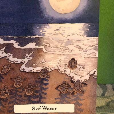 Episode 41 Phyllis Curott Episode 41 Phyllis Curott