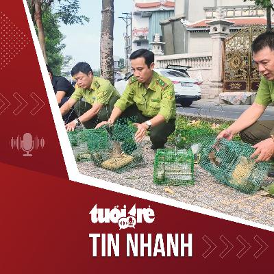 Tin tức tối 18-12: Giải cứu chim trời mắc bẫy giữa lòng thành phố Tin tức tối 18-12: Giải cứu chim trời mắc bẫy giữa lòng thành phố