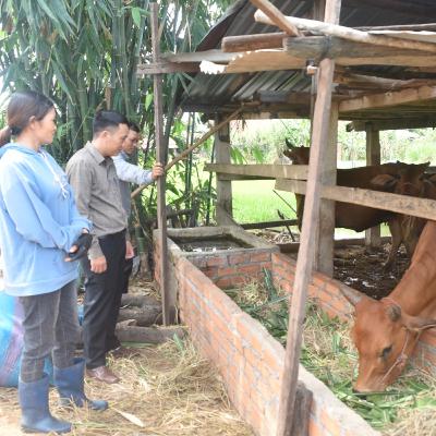 Tin trong nước - Đầu tư 360 nghìn tỷ đồng cho giảm nghèo bền vững giai đoạn 2026 - 2030