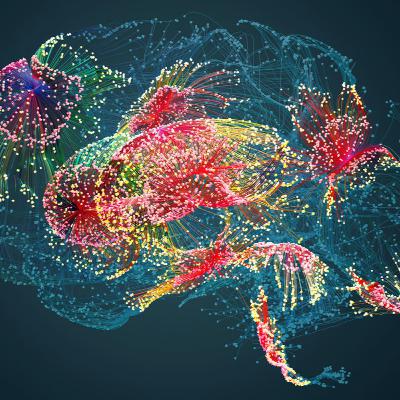 Brain Cells Organize Using Unexpectedly Simple Principles