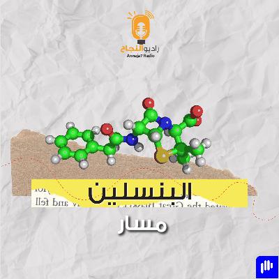البنسلين