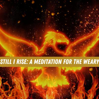 Still I Rise: A Meditation for who might be hurting | Guided Meditation | Rebirth | Phoenix Rising