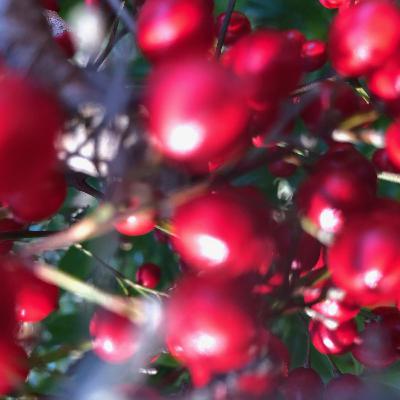 The Institute of Spectra-Sonic Sound 6.13.20