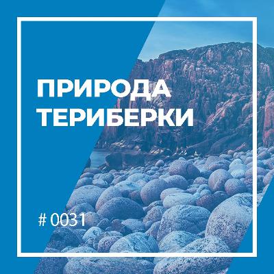 Природа Териберки: между ресурсом и достопримечательностью Природа Териберки: между ресурсом и достопримечательностью