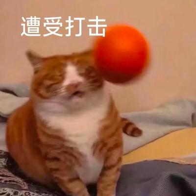 ep74.当爸妈是唯一一个永远不能请假的工作。