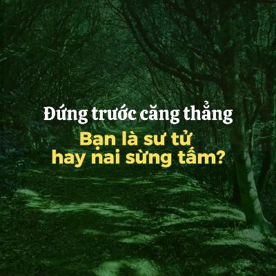 Đi & Học | Đứng trước căng thẳng: Bạn là sư tử hay nai sừng tấm?