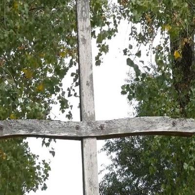 Schöpfungsgebet am Donauufer in Niederalteich
