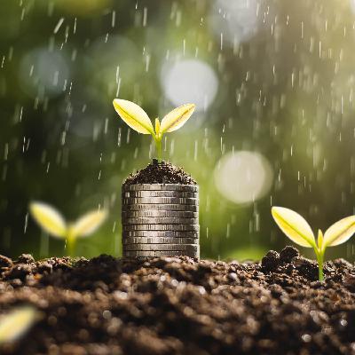 Nutritional Currency: 3 Ways To Build Metabolic Wealth Part 4