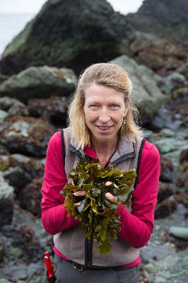 56. Seaweed Foraging on the California Coast with Heidi Herrmann of Strong Arm Farm 56. Seaweed Foraging on the California Coast with Heidi Herrmann of Strong Arm Farm