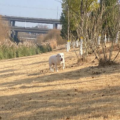 Vol.85 掌控故事的不是声音,而是想象 Vol.85 掌控故事的不是声音,而是想象