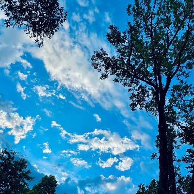 Listening to the Song of Life Listening to the Song of Life