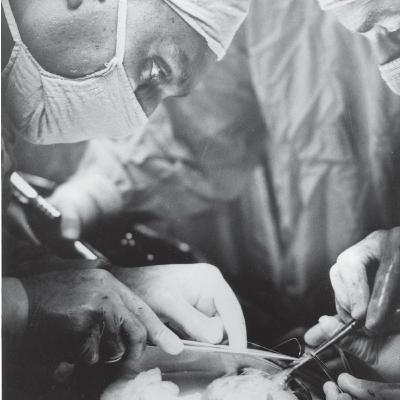 Tolerance, Autoimmunity, and Transplantation (Immunology Part 16) Tolerance, Autoimmunity, and Transplantation (Immunology Part 16)