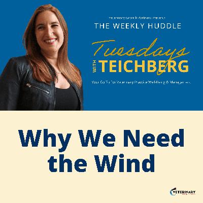 Tuesday’s With Teichberg | Why We Need the Wind Tuesday’s With Teichberg | Why We Need the Wind