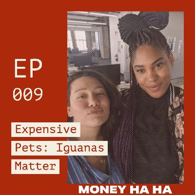 (009) Expensive Pets: Iguanas Matter