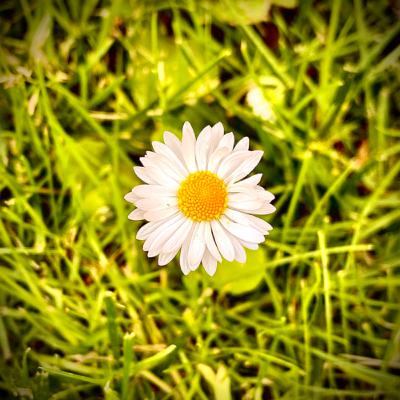 Hey, Lea (16.5.2020.)