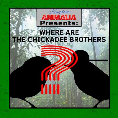 KA Presents: Where Are the Chickadee Brothers?
