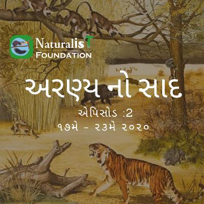 Aranya no saad, Episode 2, 23rd May, 2020