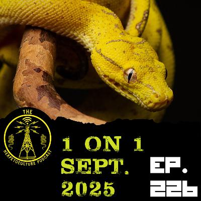 1 on 1 Sept. 2025 | THP Ep. 226