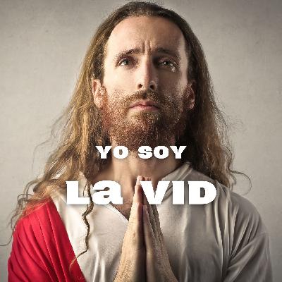Yo soy la vid