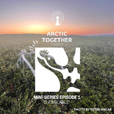 Arctic Together Podcast FILR CWG Mini-series #1- Non-Indigenous Podcast Arctic Together Podcast FILR CWG Mini-series #1- Non-Indigenous Podcast