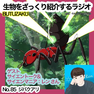 第85話：🔗「ジバクアリ」をざっくり紹介