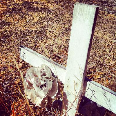 White Electric Mirror