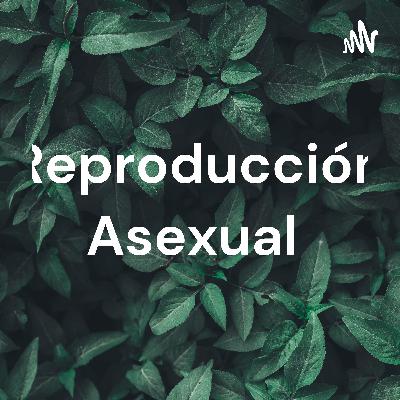 Reproducción Asexual