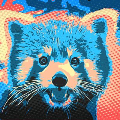 Panda Rojo - Especie del día 1 Panda Rojo - Especie del día 1