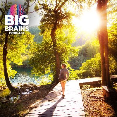 How To Use Nature To Restore Your Focus, with Marc Berman