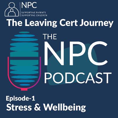 The Leaving Cert Journey – Stress & Wellbeing The Leaving Cert Journey – Stress & Wellbeing