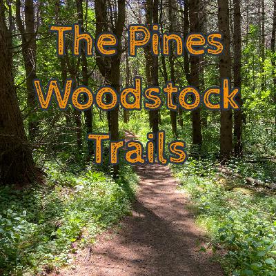 The Pines, Woodstock in Ontario The Pines, Woodstock in Ontario