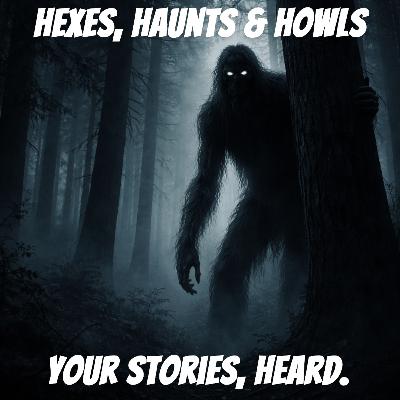 Episode Two - Your Stories, Heard.