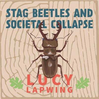 Stag Beetles and Societal Collapse with Lucy Lapwing Stag Beetles and Societal Collapse with Lucy Lapwing