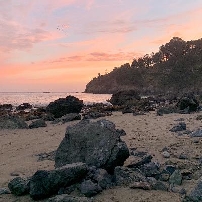 Ep. 12 - Discovering the Levels of Attachment Ep. 12 - Discovering the Levels of Attachment